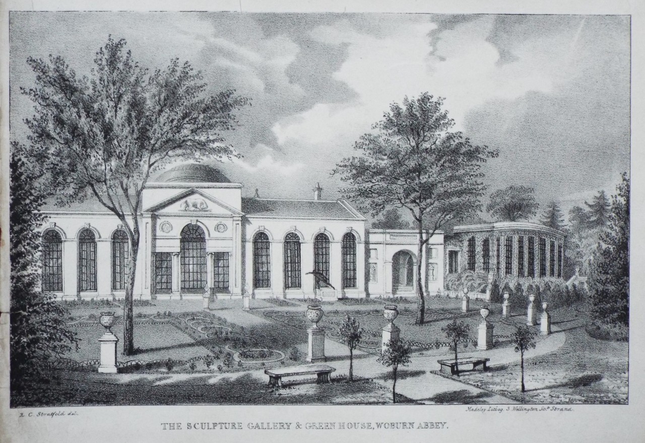 Lithograph - The Sculpture Gallery & Greenhouse, Woburn Abbey. - Madeley