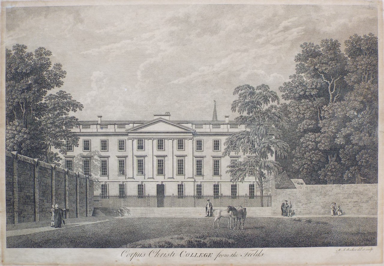 Print - Corpus Christi College from the Fields.. - Rooker