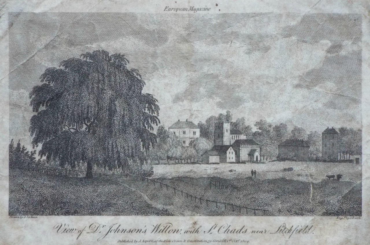 Print - View of Dr. Johnson's Willow, with St. Chads near Litchfield. - Rawle