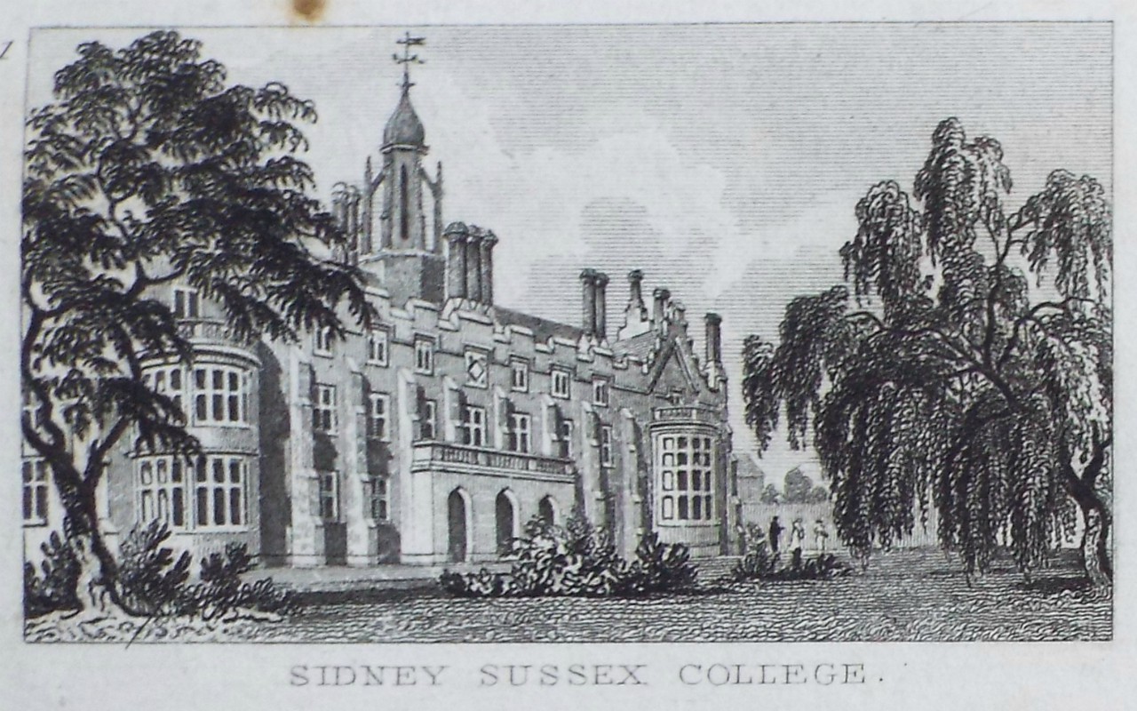 Print - Sidney Sussex College. - Rawle