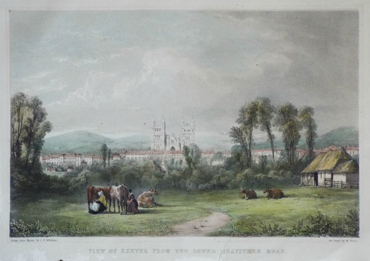 Lithograph - View of Exeter from the Lower Heavitree Road. - Gauci