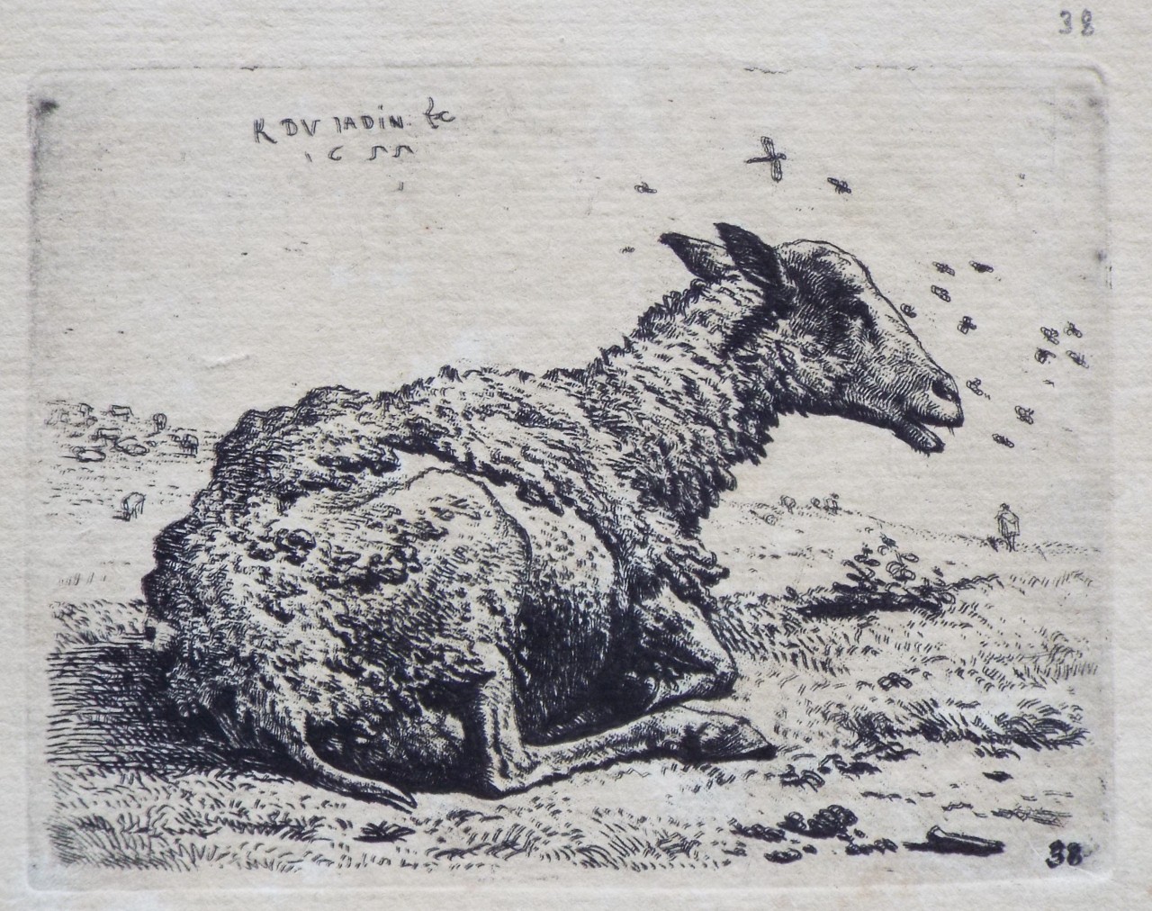 Etching - The sheep and the flies. - Dujardin