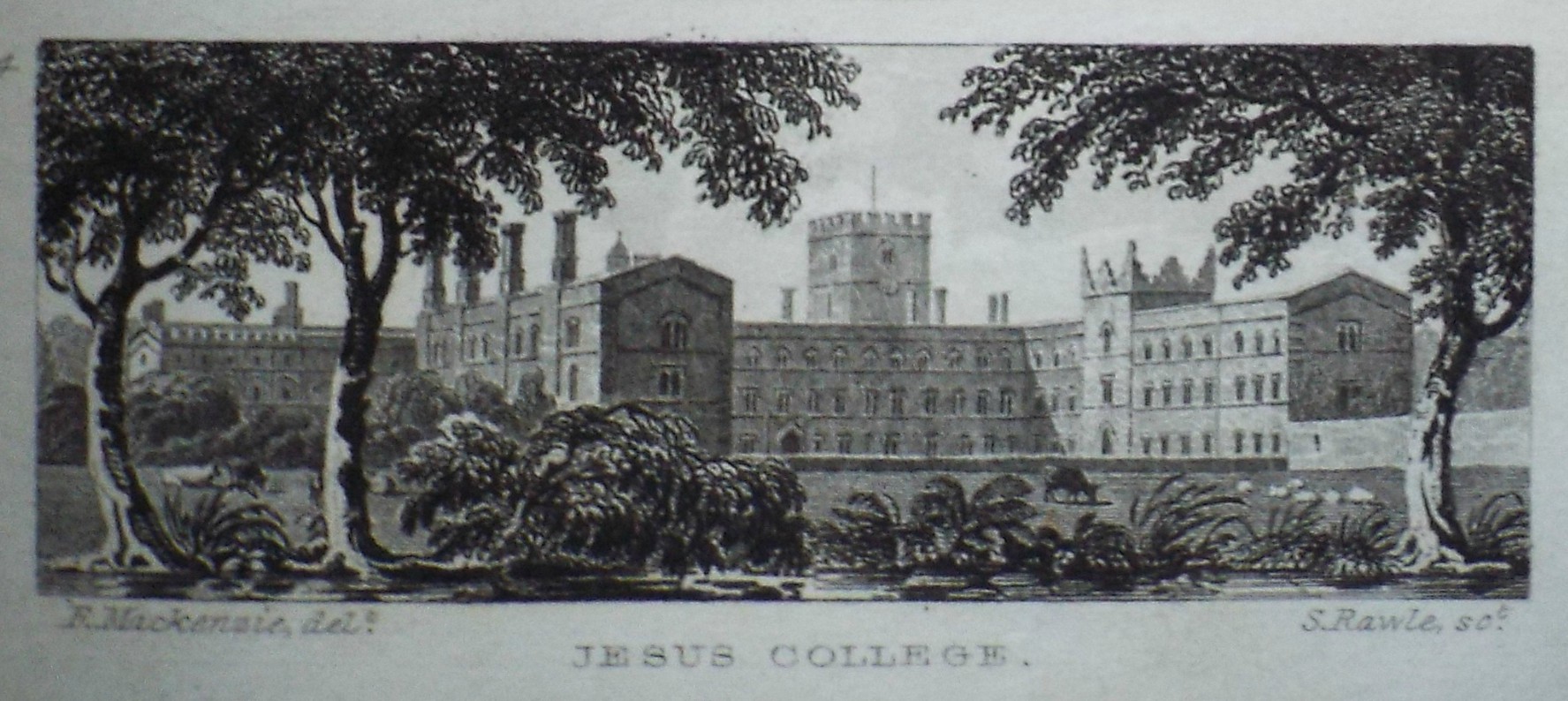 Print - Jesus College. - Rawle
