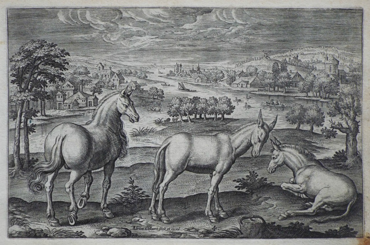 Print - Plate 4: A horse and two mules - Collaert