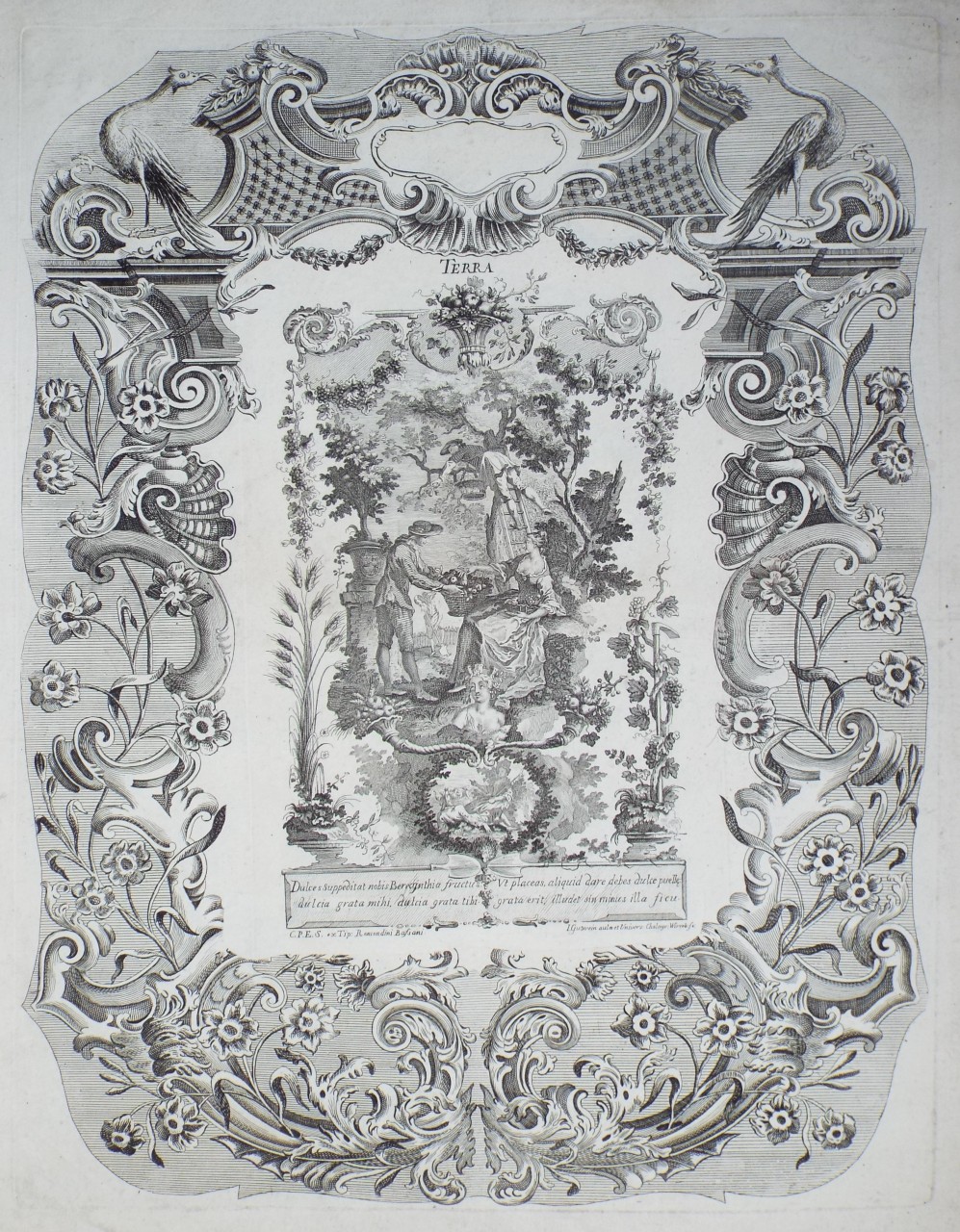 Print - Terra - Gutwein
