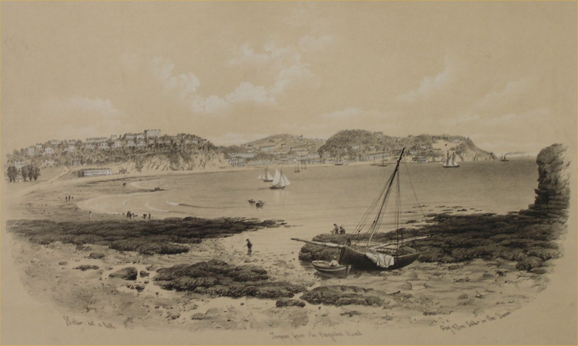 Lithograph - Torquay from the Paignton Road - Salter