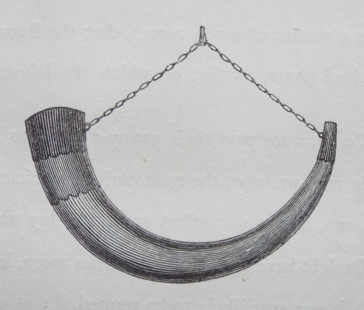 Wood - Ancient Horn, in the Council-House