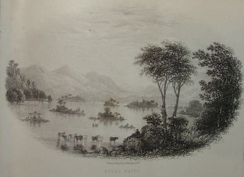 Steel Vignette - Rydal Water - Banks