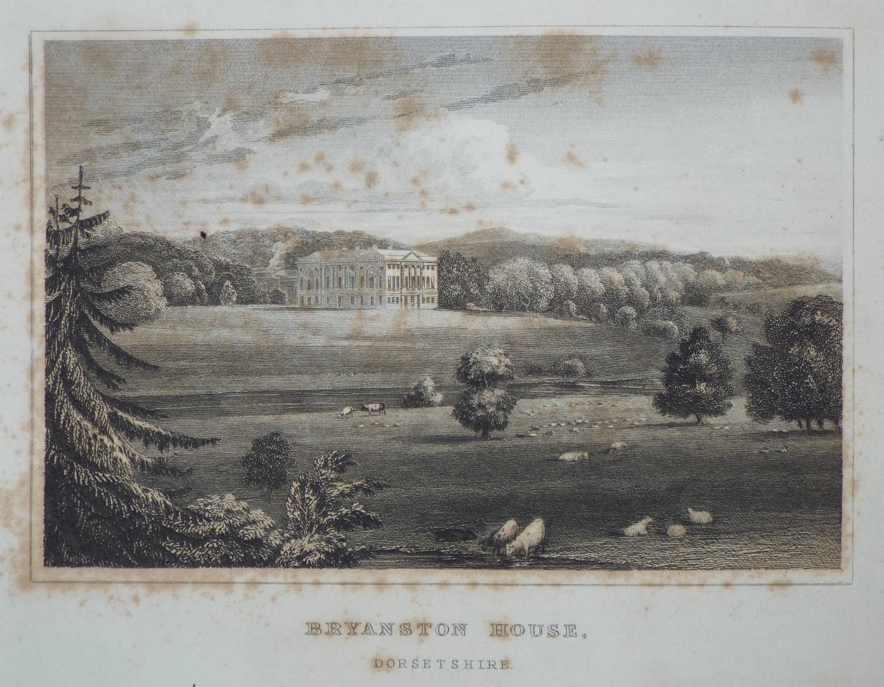 Print - Bryanston House, Dorsetshire. - Watkins