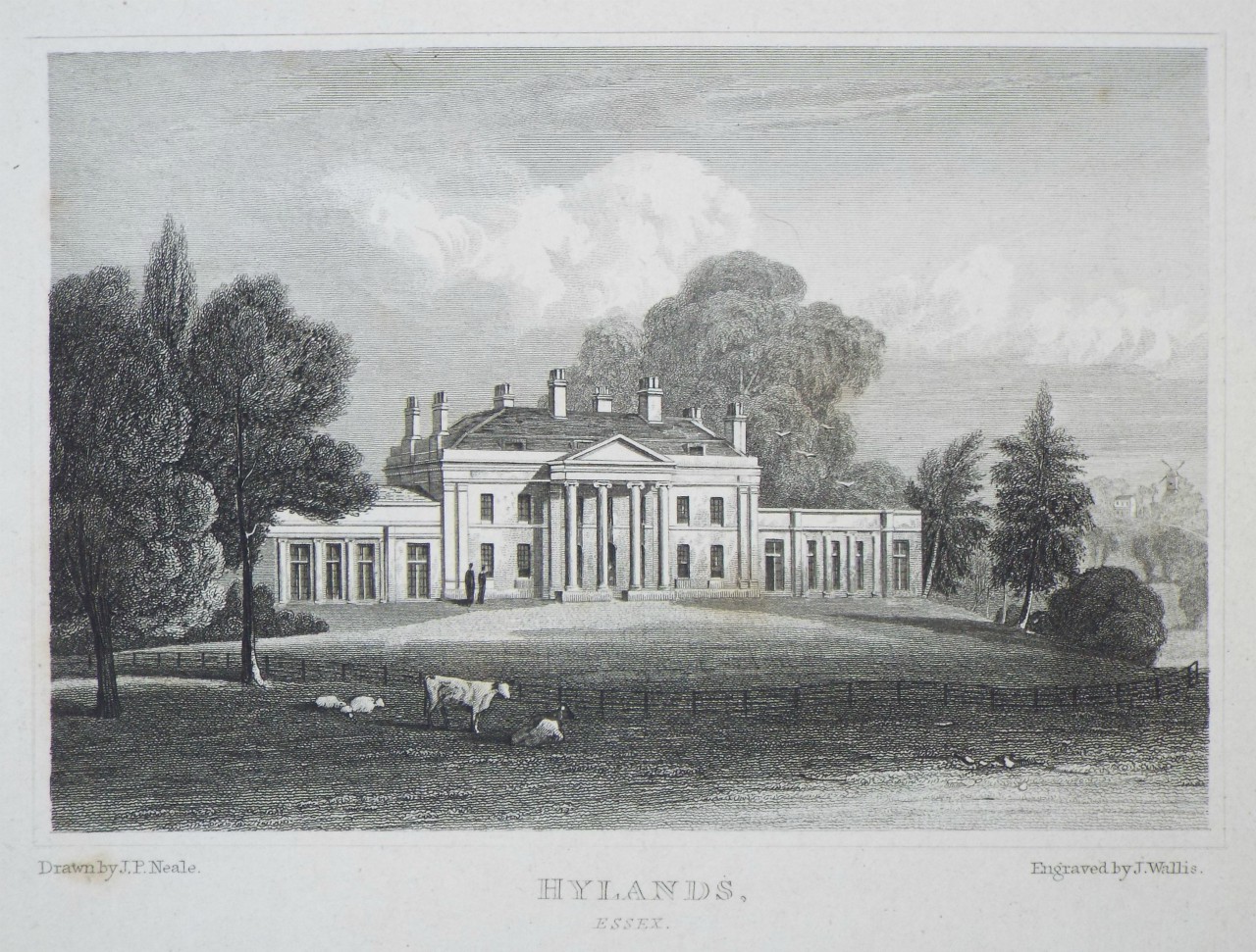 Print - Hylands, Essex. - Wallis