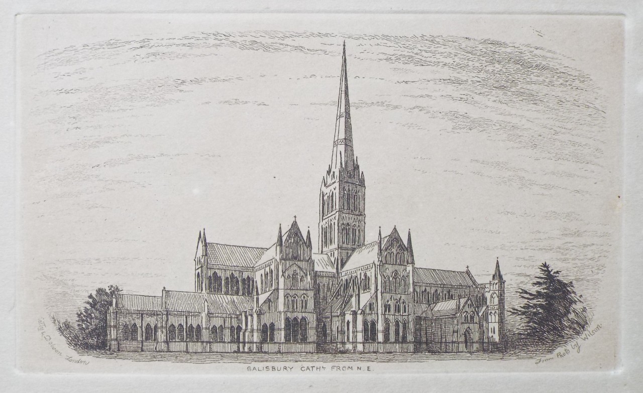 Etching - Salisbury Cathl. from N. E.