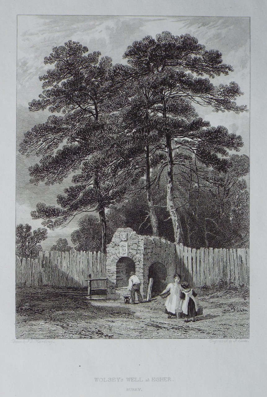 Print - Wolsey's Well at Esher, Surry - Cooke