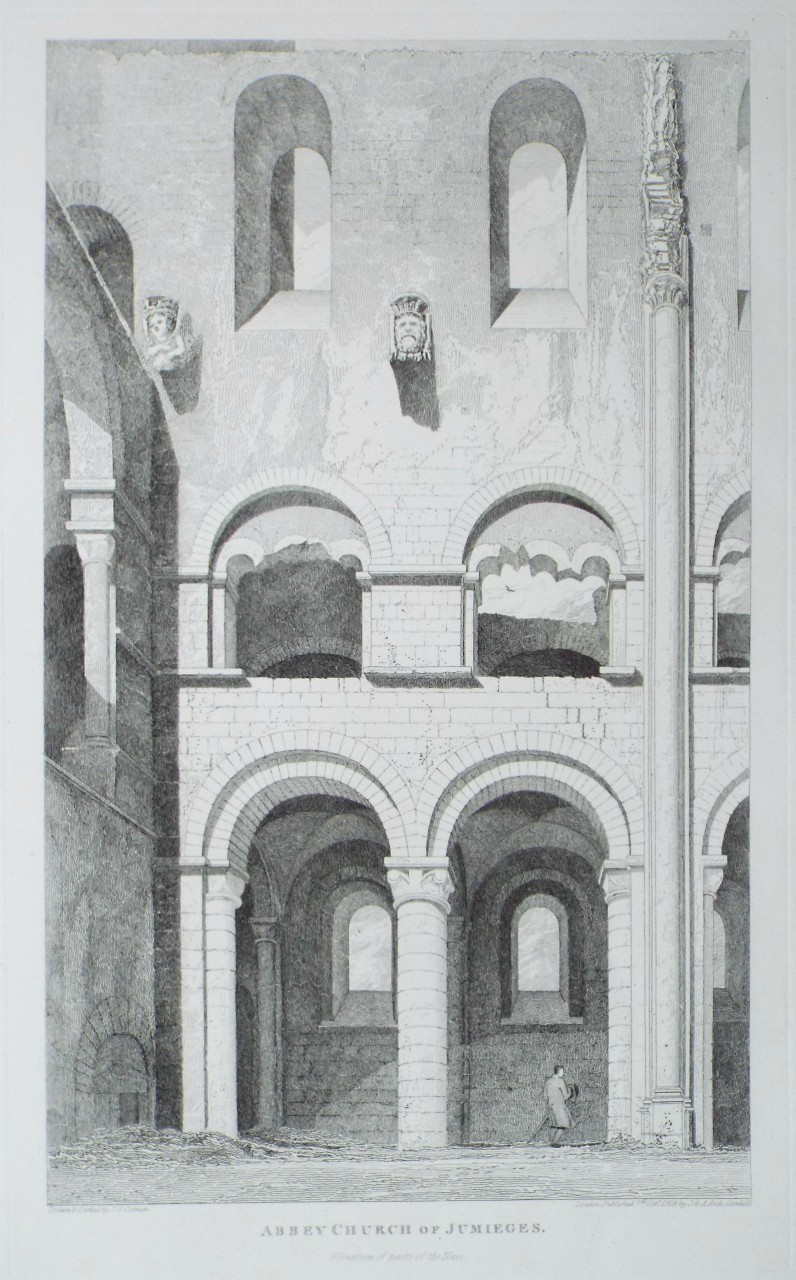 Etching - Abbey Church of Jumieges. Elevation of parts of the Nave. - Cotman