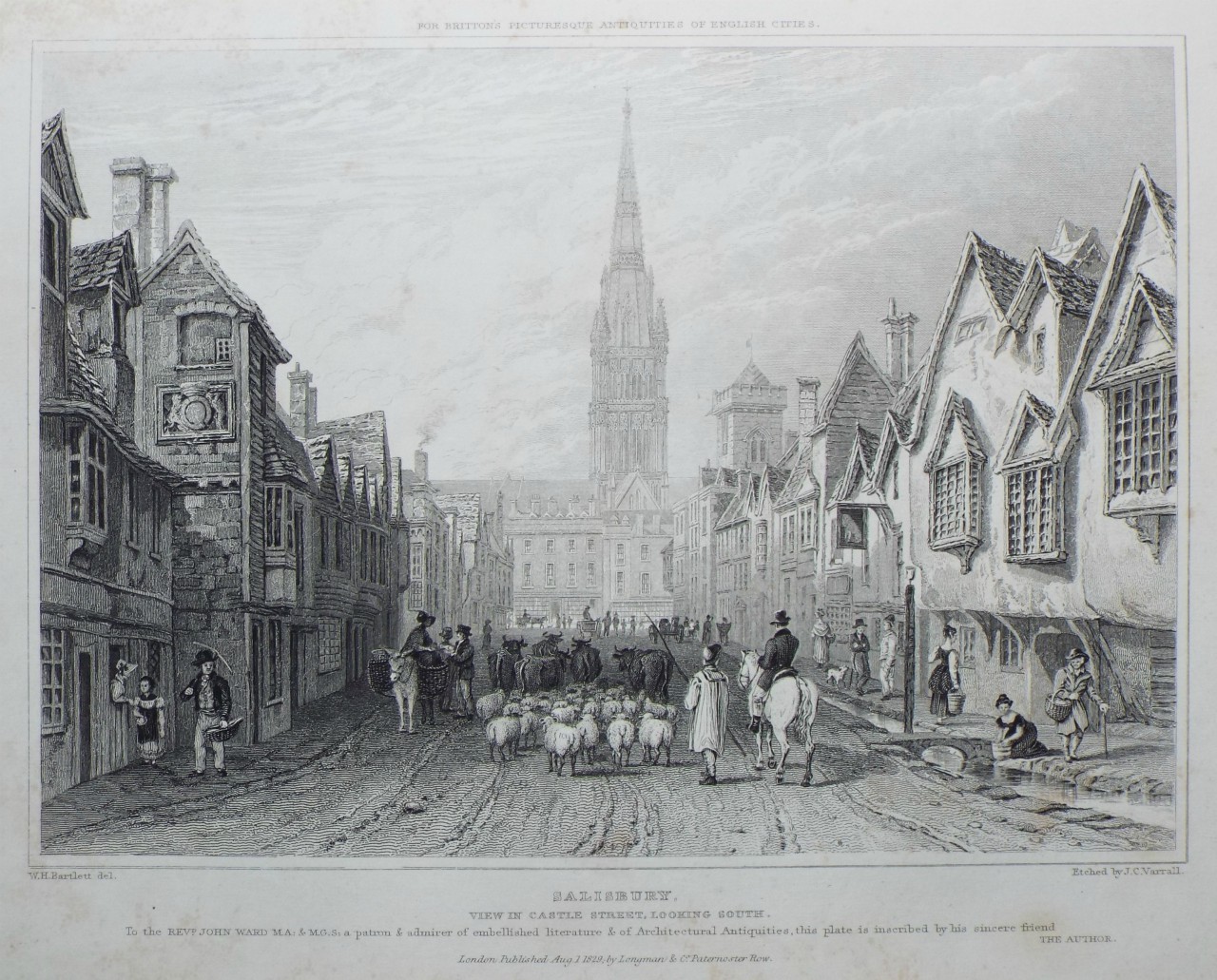 Print - Salisbury. View in Castle Street, looking South. - Varrall