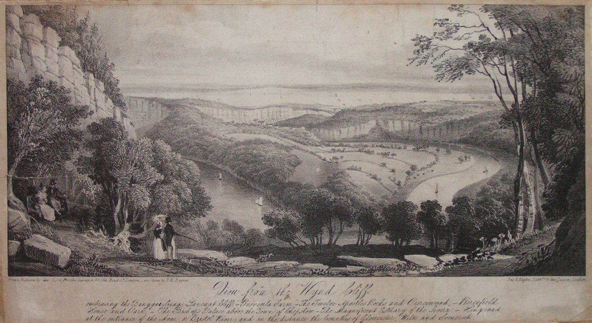 Lithograph - View from the Wynd Cliff - Baynes