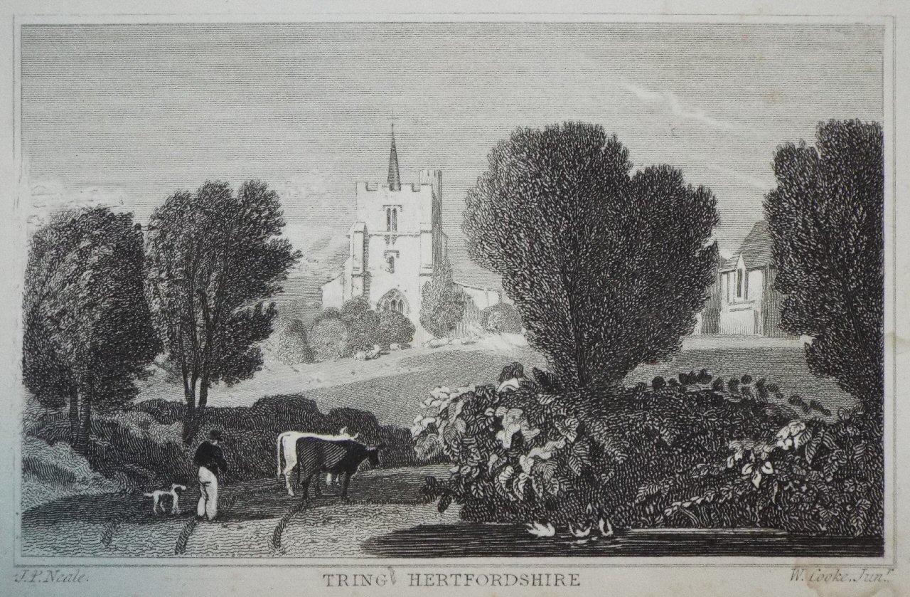 Print - Tring Hertfordshire - Cooke