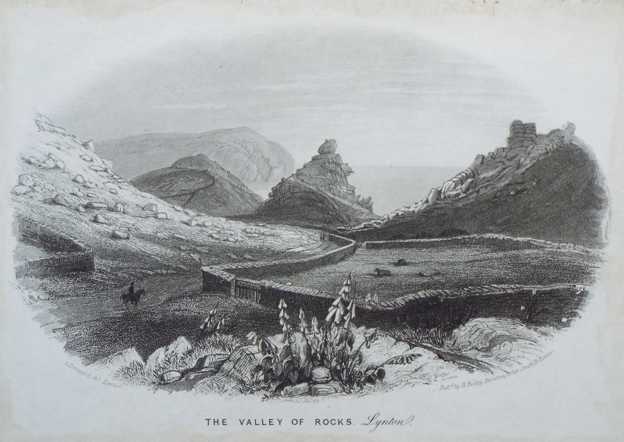 Steel Vignette - The Valley of Rocks, Lynton.