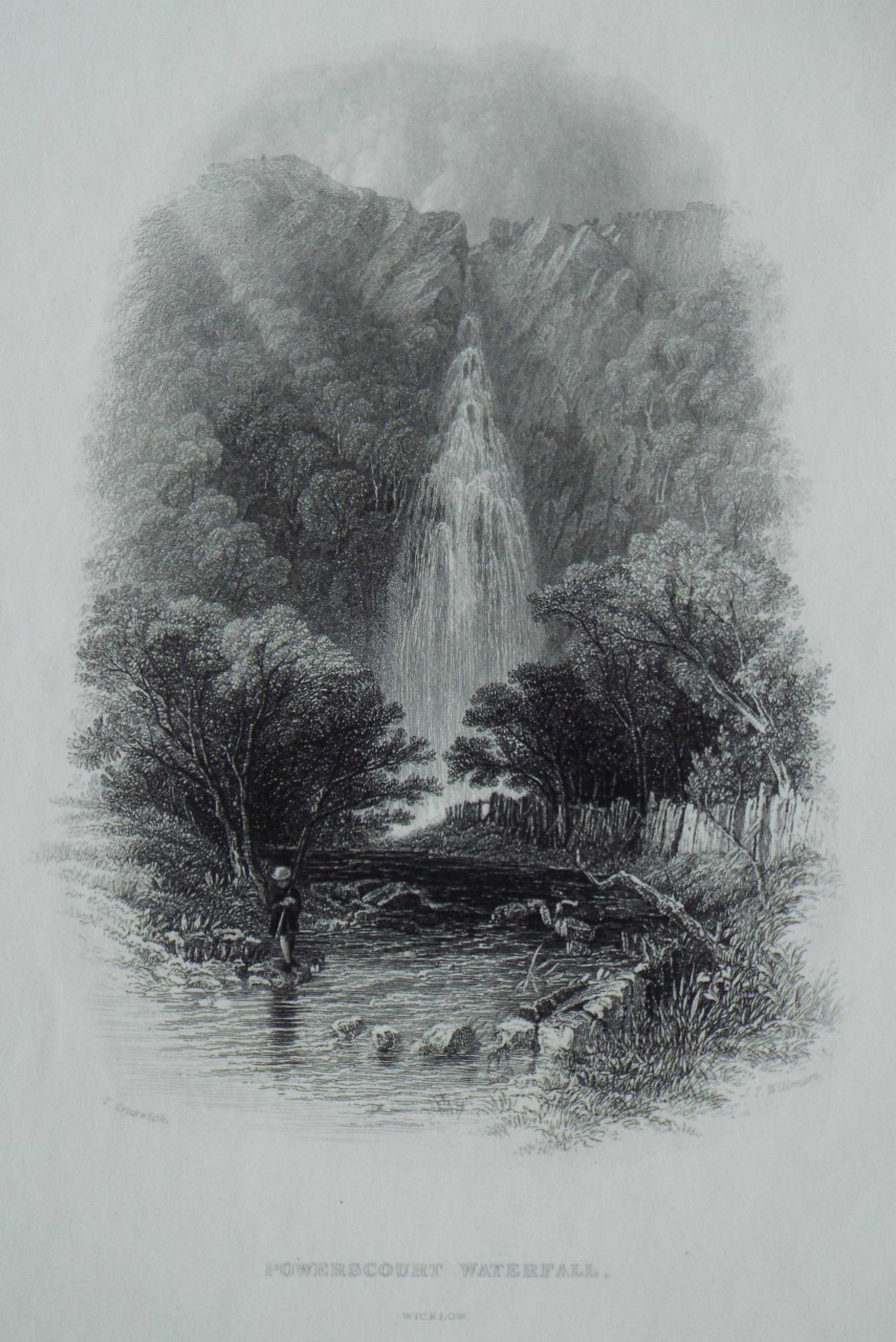 Steel Vignette - Powerscourt Waterfall, Wicklow. - Willmore