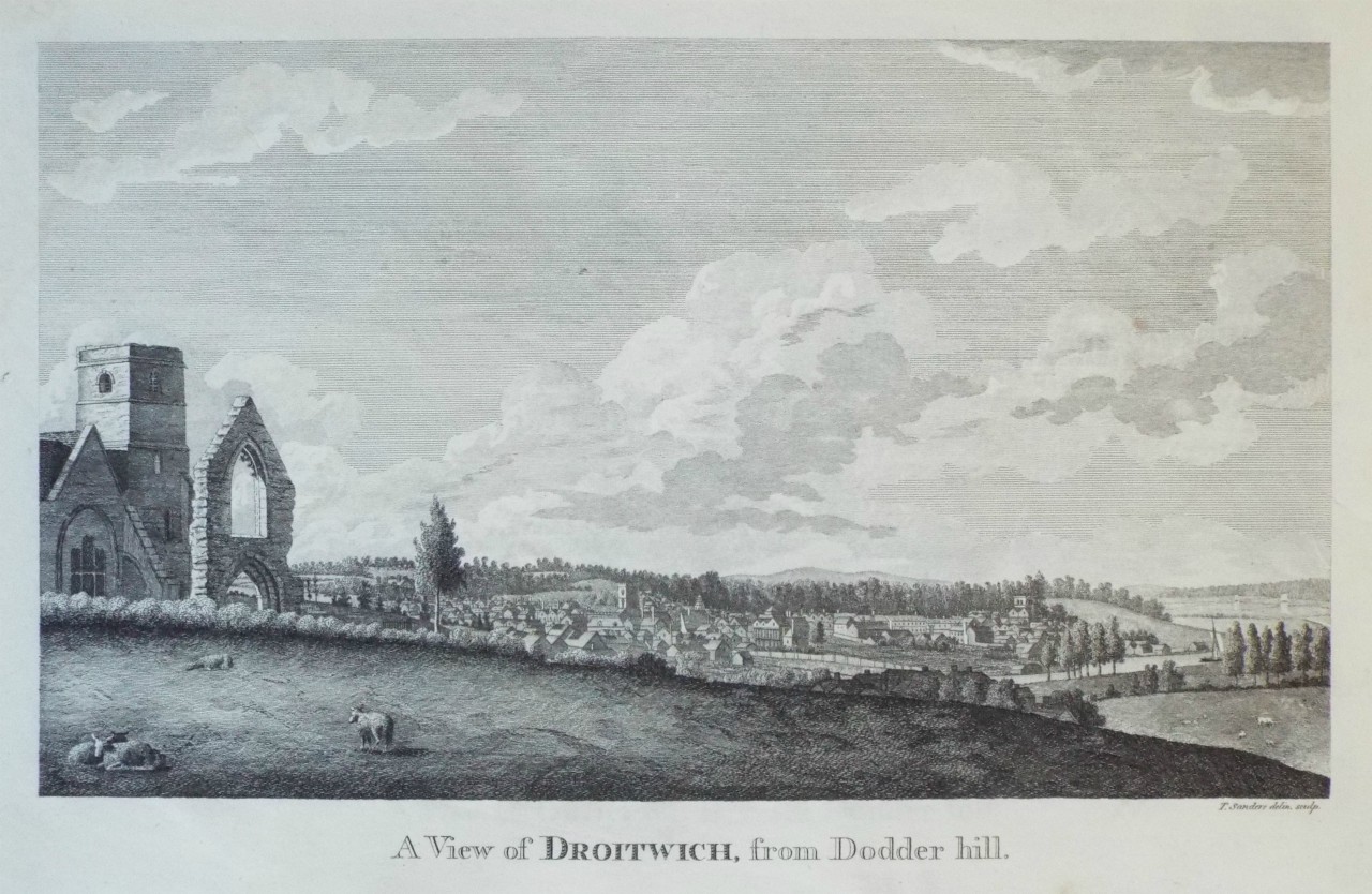 Print - A View of Droitwich, from Dodder hill. - Sanders