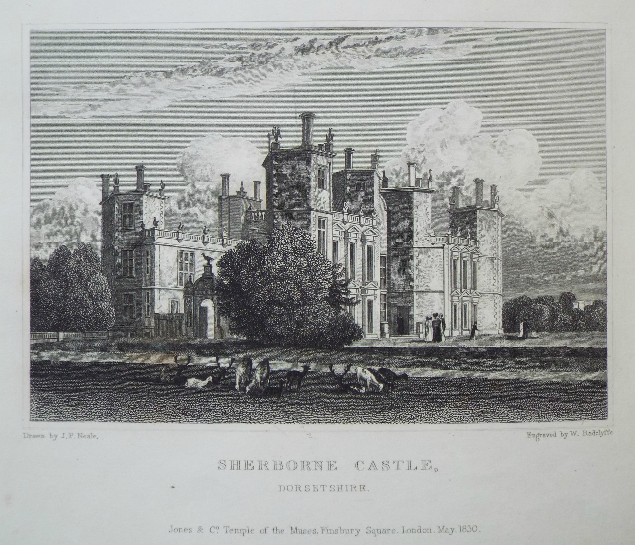 Print - Sherborne Castle, Dorsetshire. - Radclyffe