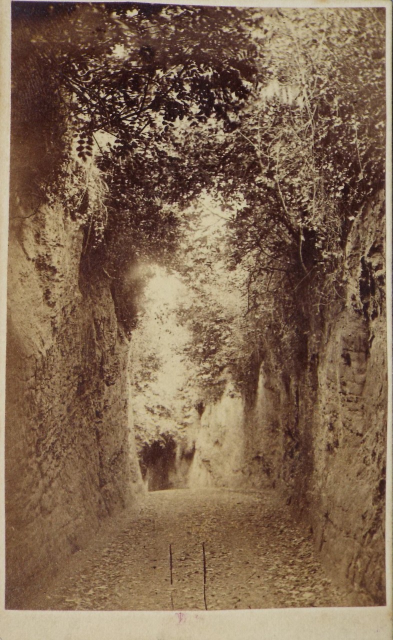 Photograph - Budleigh Salterton Dark Lane