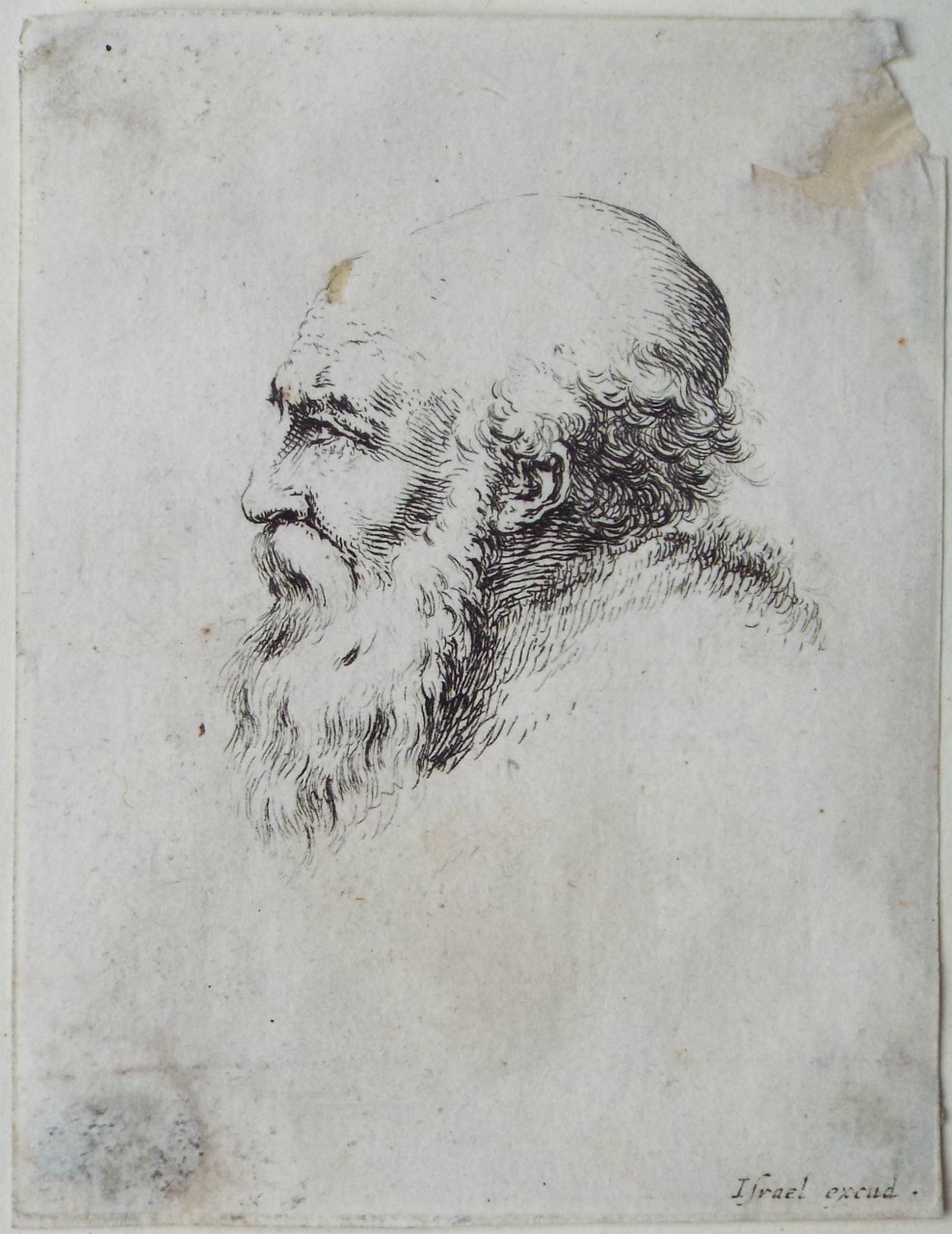Etching - Profile of a Bearded Man - Della