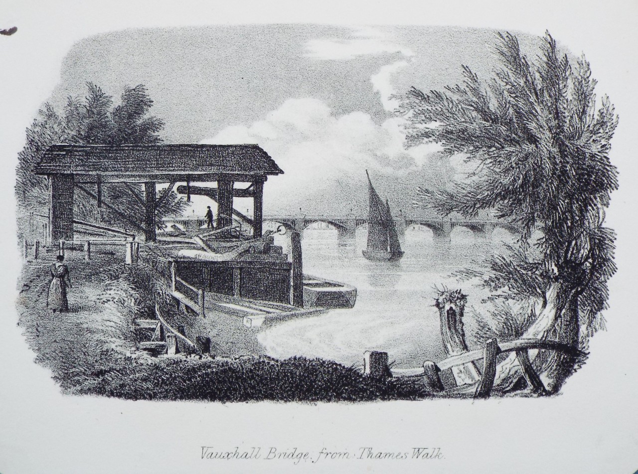 Lithograph - Vauxhall Bridge, from Thames Walk.
