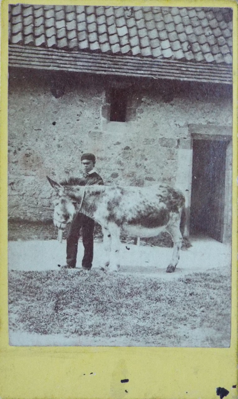 Photograph - Farm building and boy with donkey