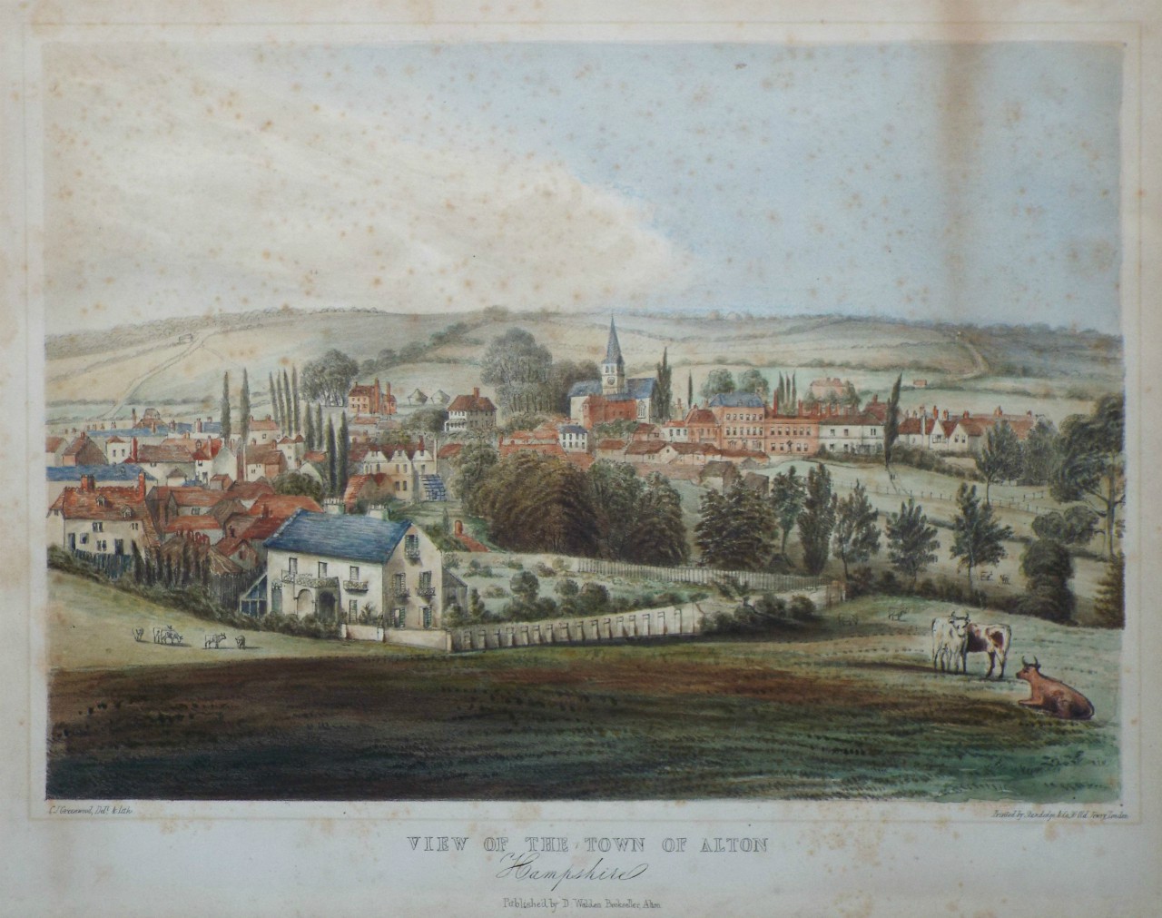 Lithograph - View of the Town of Alton Hampshire - Greenwood