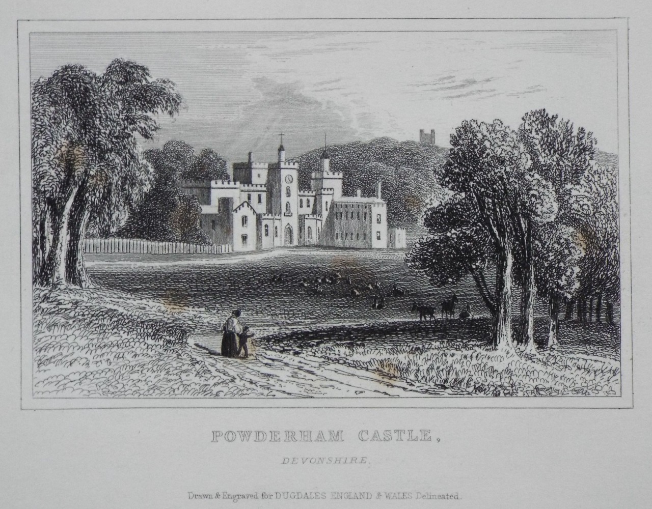 Print - Powderham Castle, Devonshire.