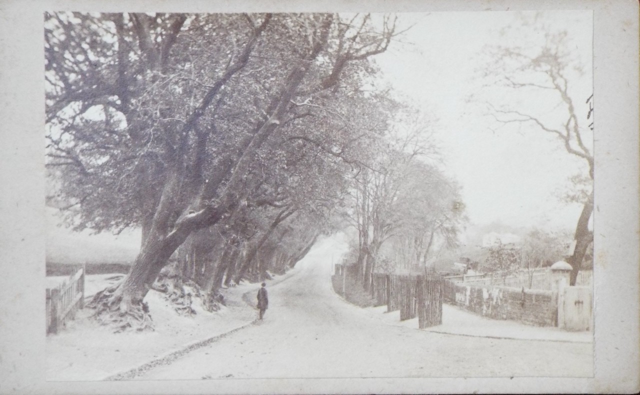 Photograph - Hastings. London Road.