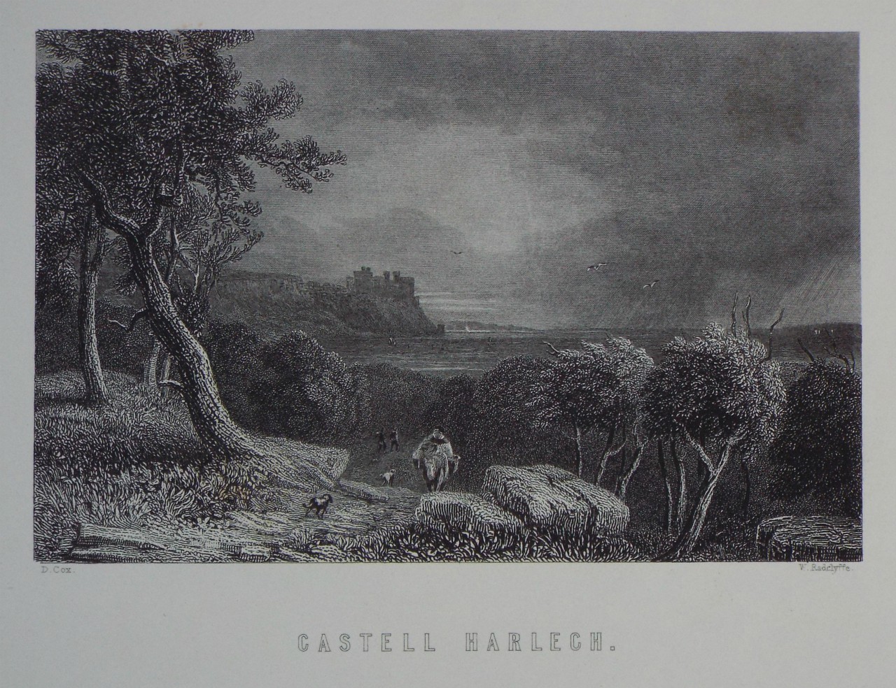 Print - Castell Harlech. - Radclyffe