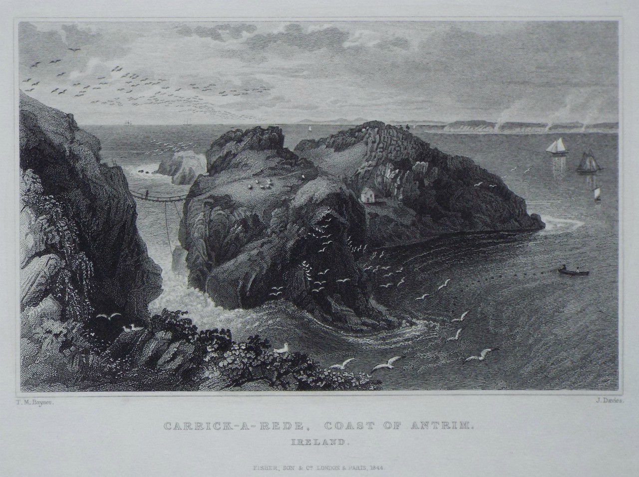 Print - Carrick-a-Rede, Coast of Antrim. Ireland. - Davies