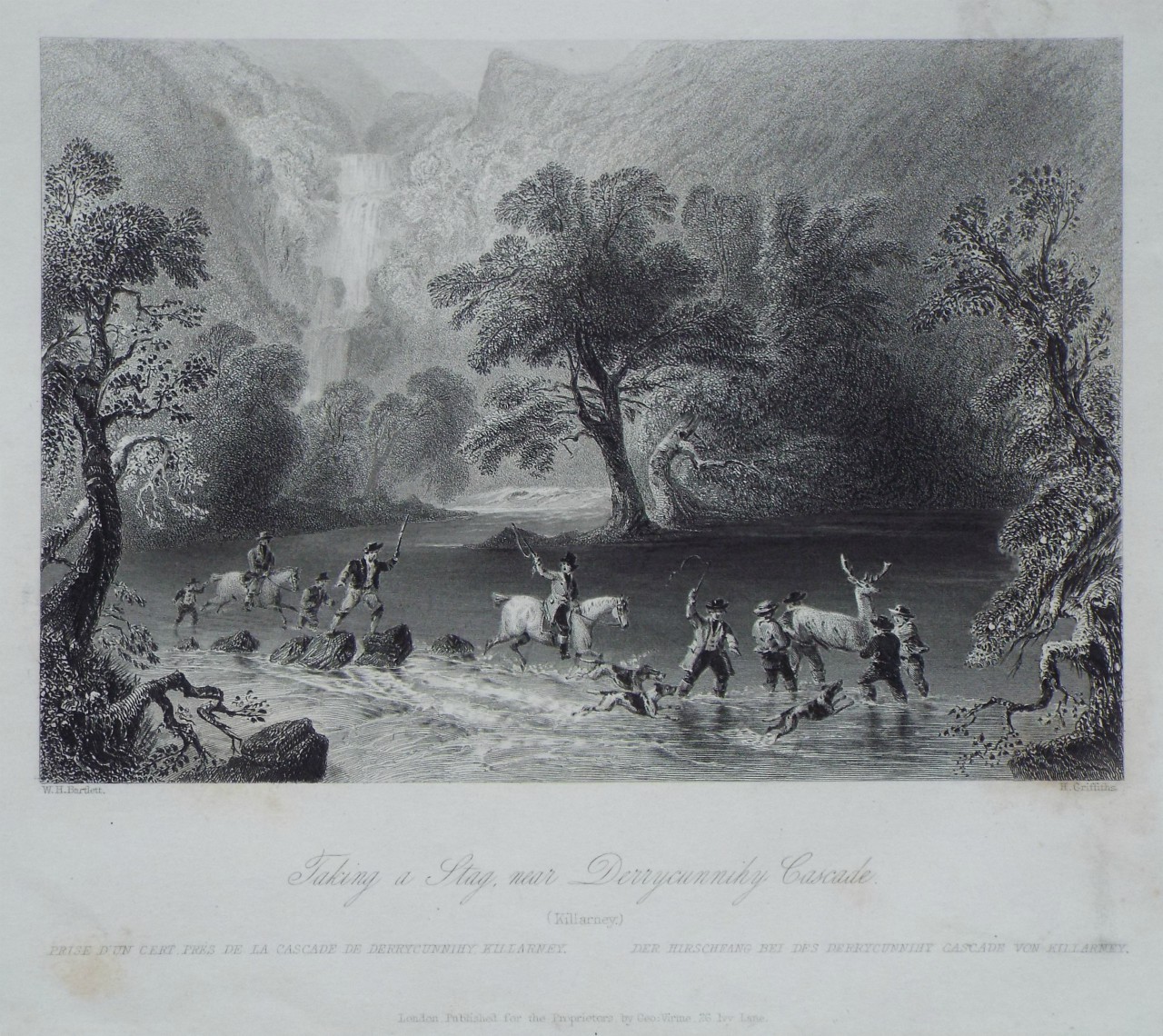 Print - Taking a Stag near Derrycunnihy Cascade. (Killarney.) - Griffiths