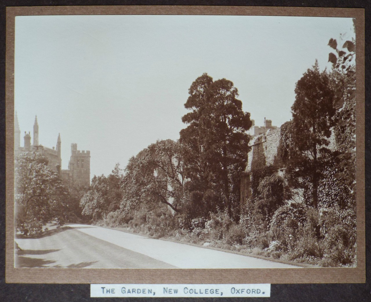 Photograph - The Garden, New College, Oxford.