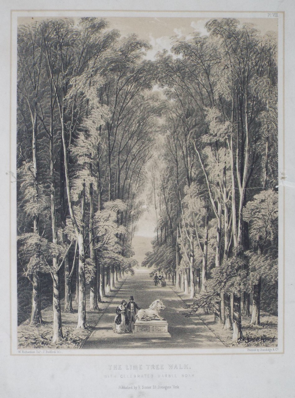 Lithograph - Lime Trees Walk. With Celebrated Marble Boar. - Bedford