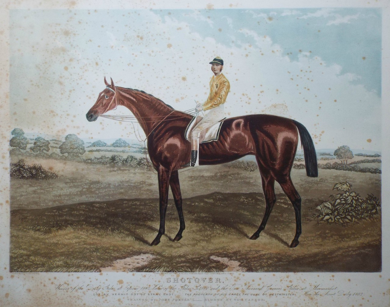 Aquatint - Shotover, 
Winner of the Derby stakes at Epsom 1882, Value of the stakes £4,800 and the Two Thousand Guineas Stakes at Newmarket.
Got by Hermit out of stray shot. The Property of his Grace the Duke of Westminster. Won the Ascot Derby 1882.
Trained by John Porter - Ridden by Tom Cannon. - Hunt