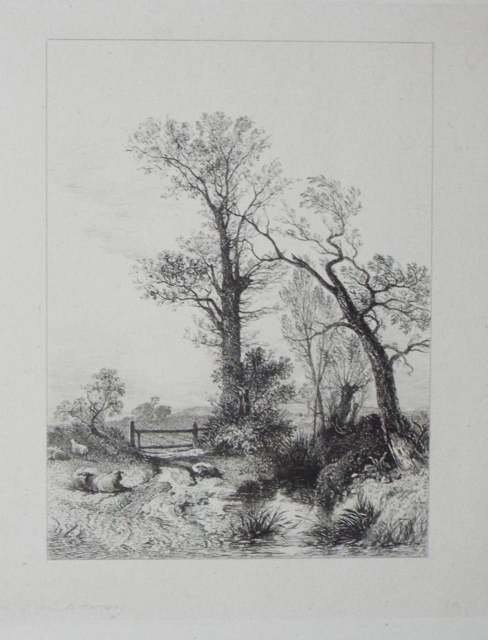 Etching - The Field Road, to Hornsey. - Wilkinson