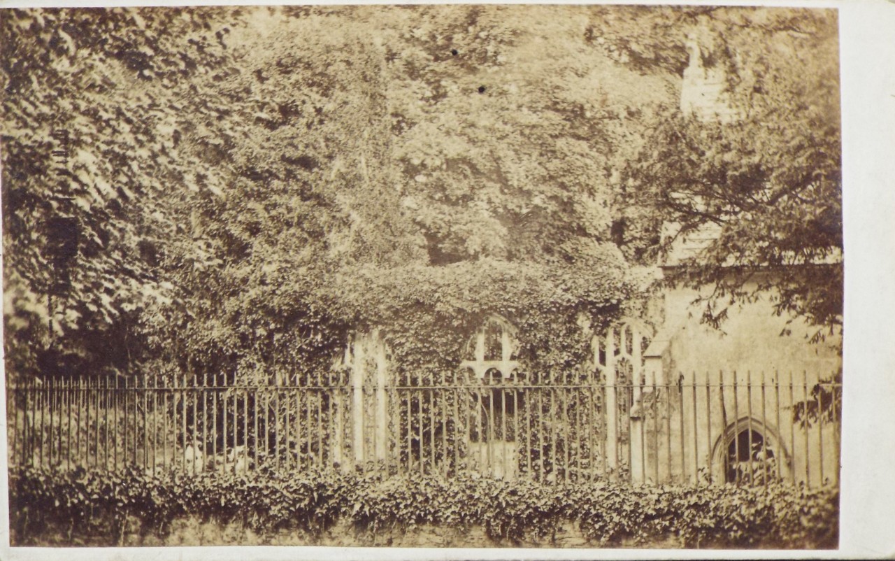 Photograph - Bicton Park ruined church