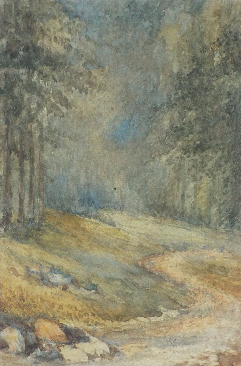 Watercolour - (Woodland scene)