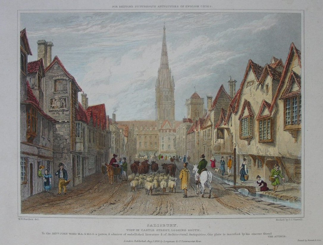 Print - Salisbury. View in Castle Street, looking South - Varrall
