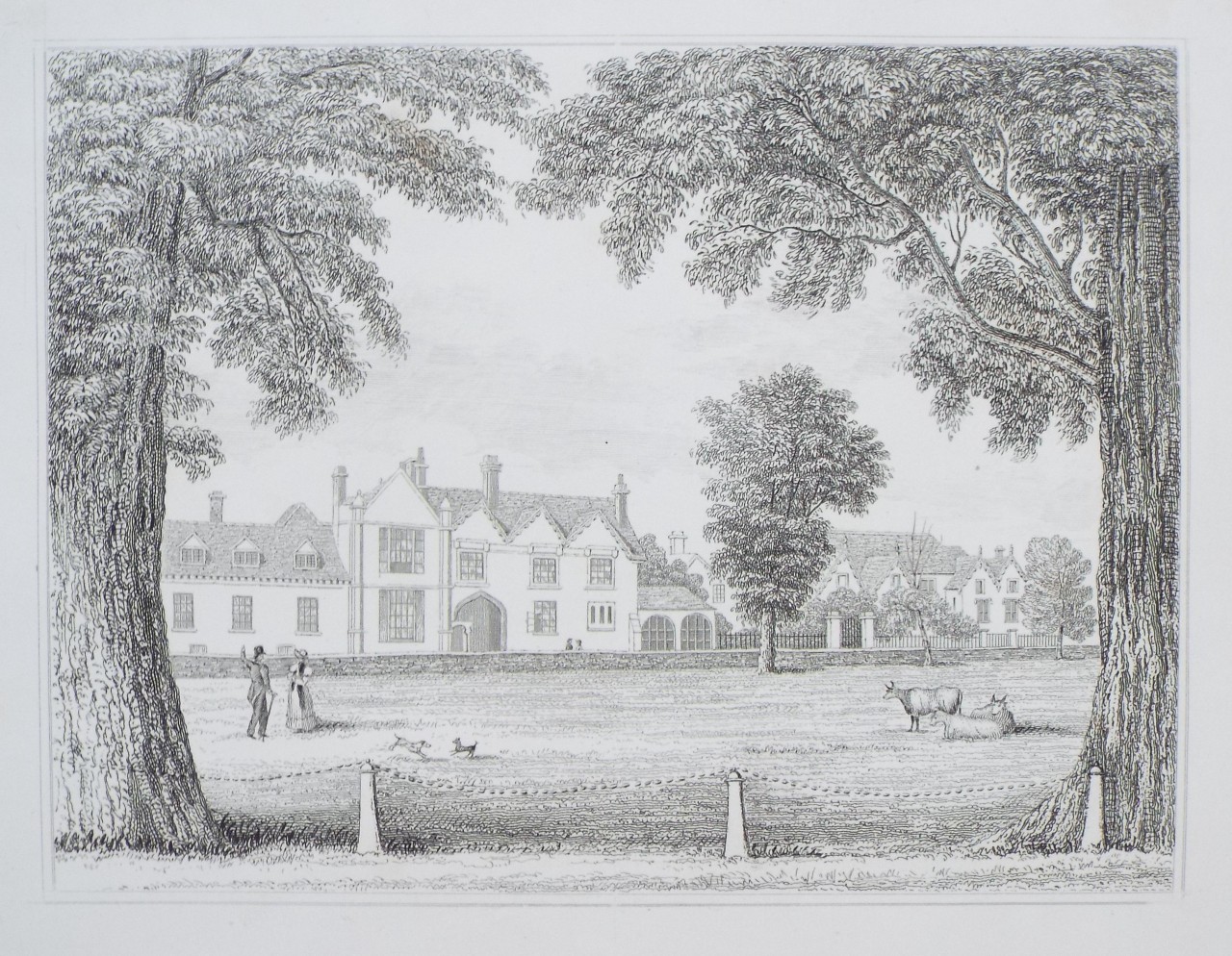 Print - Houses of Canon Hume and James Lacy Esq.