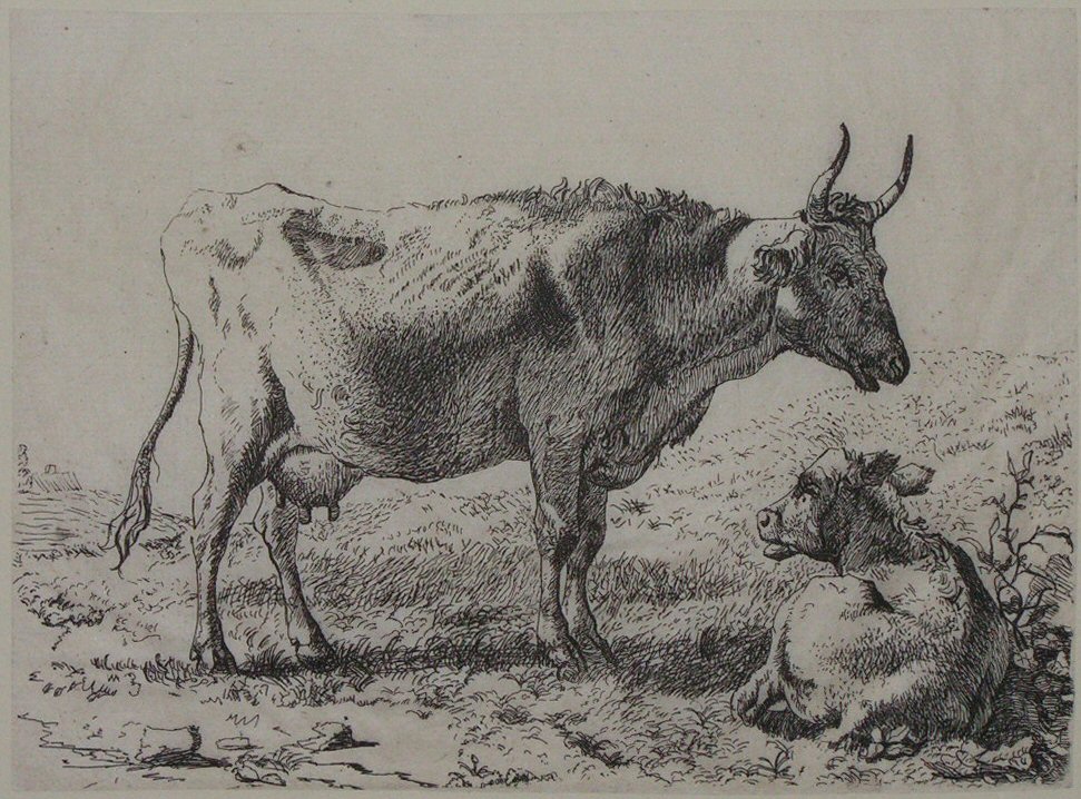 Print - (Cow and calf) - Smith