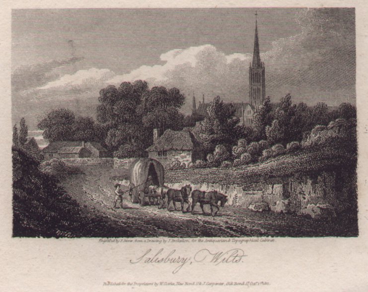 Print - Salisbury, Wiltshire. - Storer