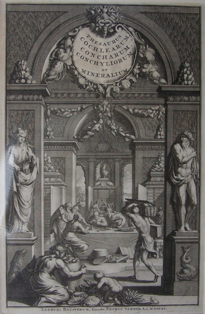 Print - Thesaurus Cochlearum Concharum Conchyliorum et Mineralium - Van