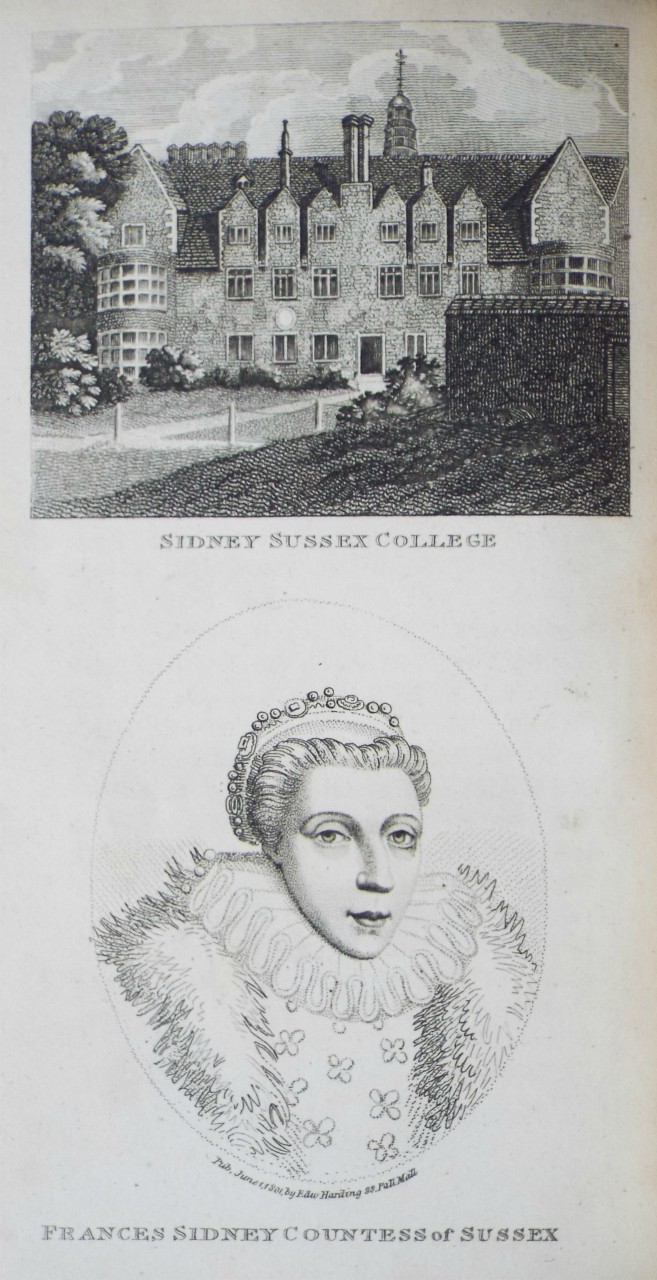 Print - Sidney Sussex College | Frances Sidney Countess of Sussex