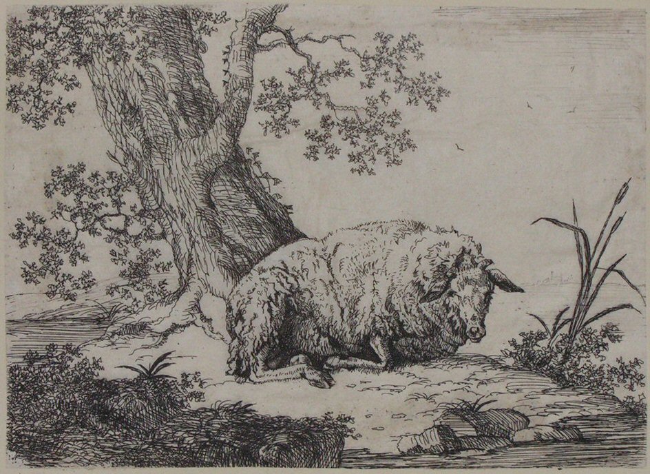 Print - (Sheep under a tree) - Smith