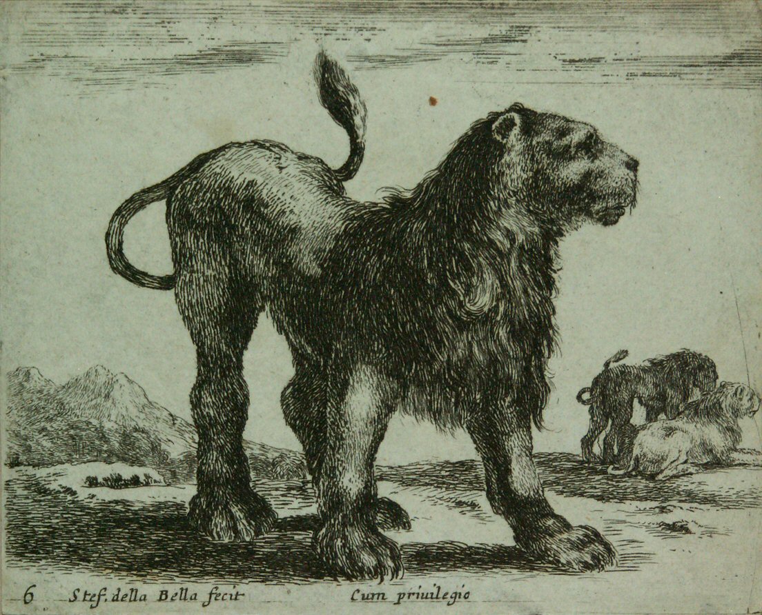 Etching - Standing Lion - Della