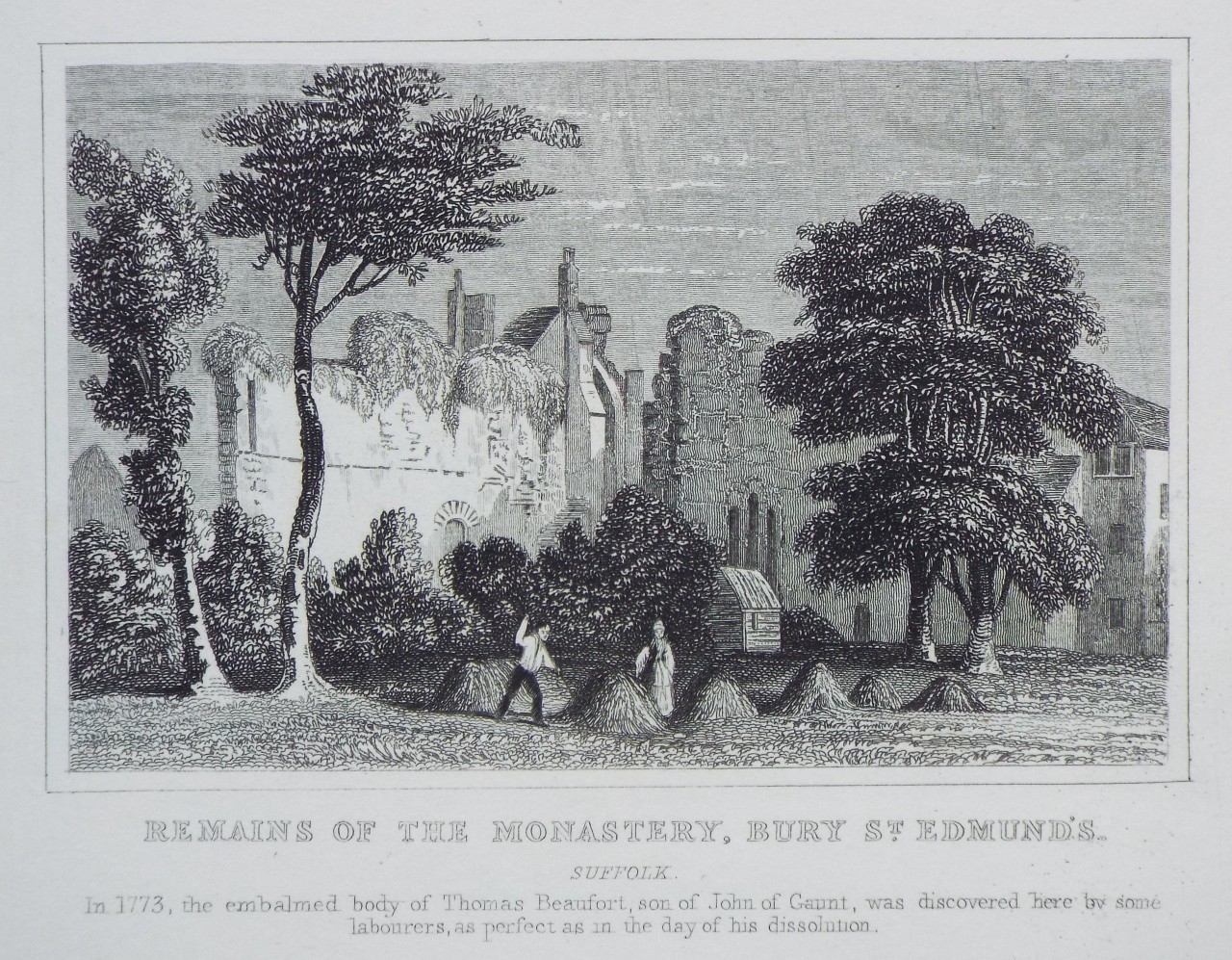 Print - Remains of the Monastery, Bury St. Edmund's. Suffolk.