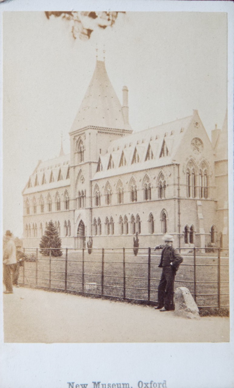 Photograph - New Museum, Oxford